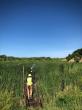 photo of person in grass