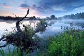View of a lake at sunset with marsh plants in the foreground