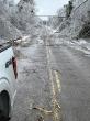 Downed trees in road from ice storm