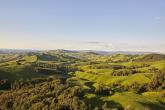 Rolling green hills