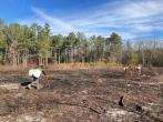 Three people planting in Chowan Swamp