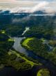 Aerial shot of river flowing through bright green forest
