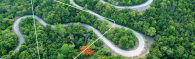 a winding road through the woods