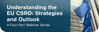 Understanding the CSDR: Strategies and Outlook