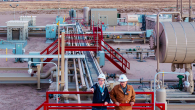 Chevron plant with two people in foreground