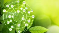 A leaf with a sustainability Illustration 