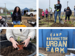 Common Orchard Project 2023 collage