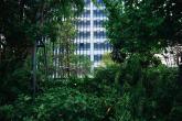 Corporate Climate Strategy