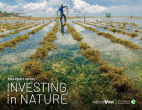 Cover image for TNC NatureVest 2024 Impact Report