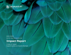 Nature image on cover of Impact Report