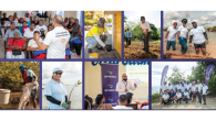 Collage showing DP World volunteers participating in community workshops, painting small businesses, planting trees, and taking part in coastal environmental activities.