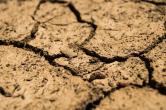 Cracked and dry soil.