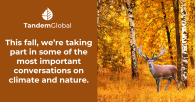 Tandem Global