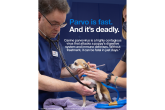 Parvo is fast. And it's deadly. Canine parvovirus is a highly contagious virus that attacks a puppy's digestive system and immune defenses. Without treatment, it can be fatal in just days.*