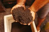 hands in dirt