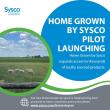 Home Grown by Sysco Pilot launching.
