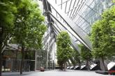 Green Office