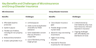 Table of "Key Benefits and Challenges of Microinsurance and Group Disaster Insurance"