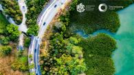 Road curving through forest next to a water body