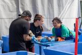 DP World volunteers assisting staff at the Marine Mammal Rescue Centre as they feed and care for an orphaned seal pup in a blue rehabilitation tub.