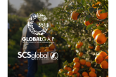 SCS Complimentary Webinar: Mastering GLOBALG.A.P. IFA V6: Tools & Resources for Growers