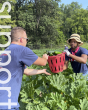 Two people picking produce in a large garden