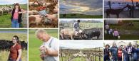 Niman Ranch farmers