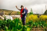 farmer stands in a field her baby strapped to her back