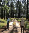 Two people walking on a track in a forest