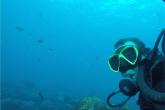 Rafael Correa scuba diving 