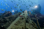 Reef