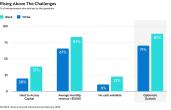 Rising Above the Challenges graph.