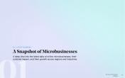 GoDaddy: A Snapshot of microbusinesses.