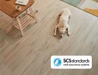 Dog lying on wooden floor with SCSstandards logo in corner of image
