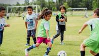 children playing soccer