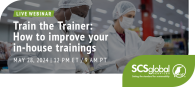 Train the Trainer: How to Improve Your In-House Trainings