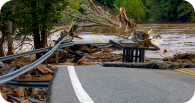 road with hurricane damage