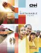 Cover of the report "A Sustainable Year".