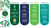 Infographic summarizing Traditional Medicinals' 2024 Impact Highlights across four areas: Who We Are, Sourcing, Environment, and Community. Includes metrics such as a B Corp score of 115.8, over 782 million tea bags served, 99% organic herb sourcing, $2.6 million in impact investments, 85% waste diversion, and 77% employee volunteerism. The visual features the Traditional Medicinals logo, illustrations of herbs, and bold statistics celebrating its 50-year anniversary.
