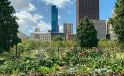 urban space