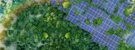Aerial view of a solar panel array.