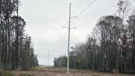 power lines 