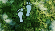Luminous footsteps shown on a green background.