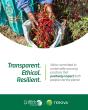 Harvesting peppers. "Transparent. Ethical. Resilient. We're committed to sustainable sourcing practices that positively impact both people and the planet."