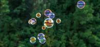 bubbles floating in air