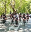 Bike riders in a race.