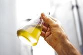 A hand holding a beaker of yellow liquid
