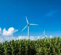 wind turbine over field
