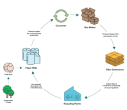 Circular infographic chart with symbols for fiber recycling.