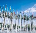did COP28 deliver?